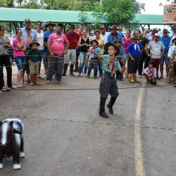 Rodeio 2017 - Provas Campeiras