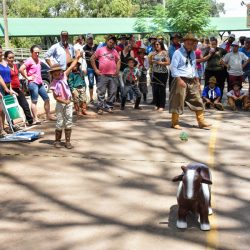 Rodeio 2017 - Provas Campeiras