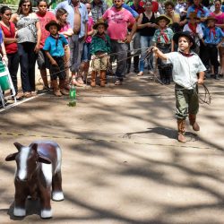 Rodeio 2017 - Provas Campeiras