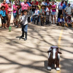 Rodeio 2017 - Provas Campeiras