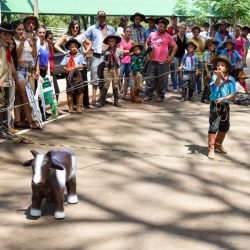 Rodeio 2017 - Provas Campeiras