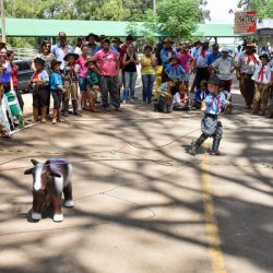 Rodeio 2017 - Provas Campeiras