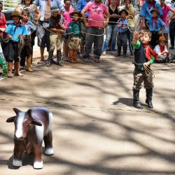 Rodeio 2017 - Provas Campeiras