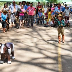 Rodeio 2017 - Provas Campeiras