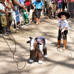 Rodeio 2017 - Provas Campeiras