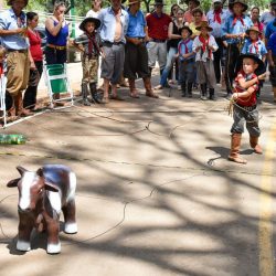 Rodeio 2017 - Provas Campeiras