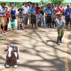 Rodeio 2017 - Provas Campeiras