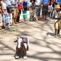 Rodeio 2017 - Provas Campeiras