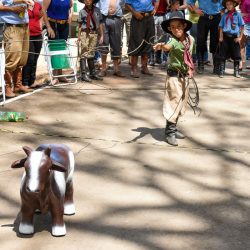 Rodeio 2017 - Provas Campeiras