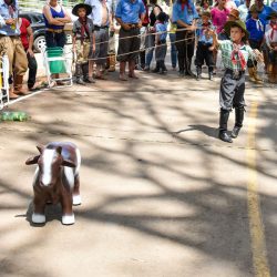 Rodeio 2017 - Provas Campeiras