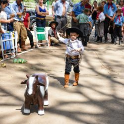 Rodeio 2017 - Provas Campeiras