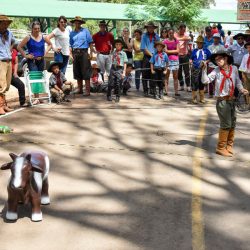 Rodeio 2017 - Provas Campeiras