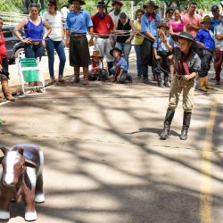 Rodeio 2017 - Provas Campeiras