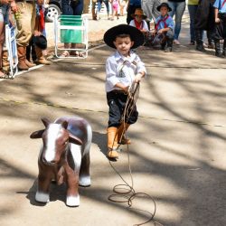 Rodeio 2017 - Provas Campeiras