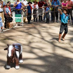 Rodeio 2017 - Provas Campeiras