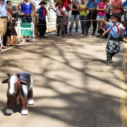 Rodeio 2017 - Provas Campeiras