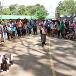 Rodeio 2017 - Provas Campeiras