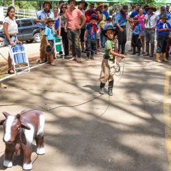 Rodeio 2017 - Provas Campeiras