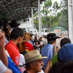 Rodeio 2017 - Provas Campeiras