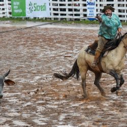 Rodeio 2017 - Provas Campeiras