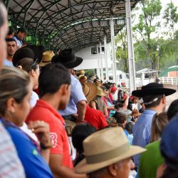 Rodeio 2017 - Provas Campeiras