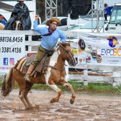 Rodeio 2017 - Provas Campeiras