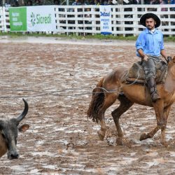 Rodeio 2017 - Provas Campeiras