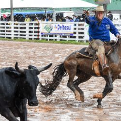 Rodeio 2017 - Provas Campeiras