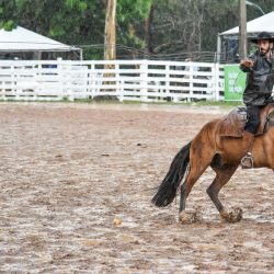 Rodeio 2017 - Provas Campeiras