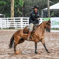 Rodeio 2017 - Provas Campeiras