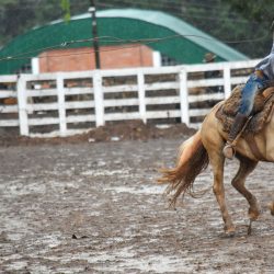 Rodeio 2017 - Provas Campeiras