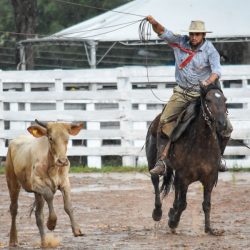 Rodeio 2017 - Provas Campeiras