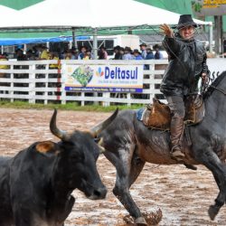 Rodeio 2017 - Provas Campeiras