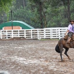 Rodeio 2017 - Provas Campeiras