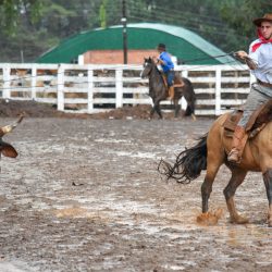 Rodeio 2017 - Provas Campeiras