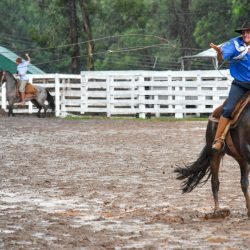 Rodeio 2017 - Provas Campeiras