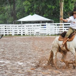 Rodeio 2017 - Provas Campeiras