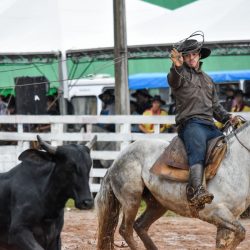 Rodeio 2017 - Provas Campeiras