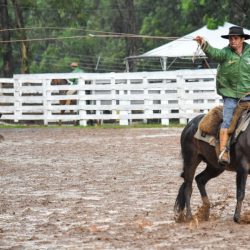 Rodeio 2017 - Provas Campeiras