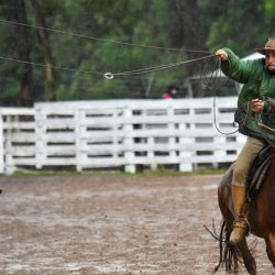 Rodeio 2017 - Provas Campeiras