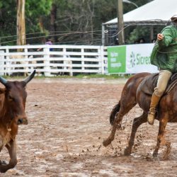 Rodeio 2017 - Provas Campeiras