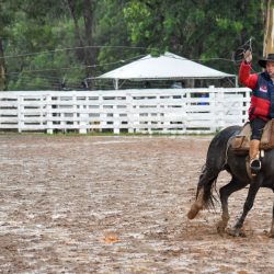 Rodeio 2017 - Provas Campeiras