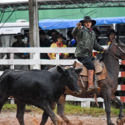 Rodeio 2017 - Provas Campeiras