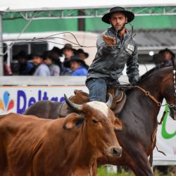 Rodeio 2017 - Provas Campeiras