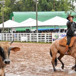 Rodeio 2017 - Provas Campeiras