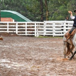 Rodeio 2017 - Provas Campeiras