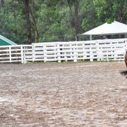 Rodeio 2017 - Provas Campeiras