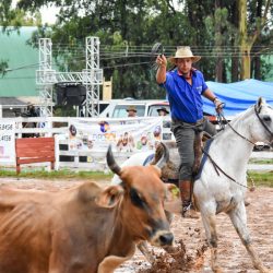 Rodeio 2017 - Provas Campeiras