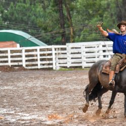 Rodeio 2017 - Provas Campeiras