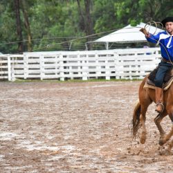 Rodeio 2017 - Provas Campeiras